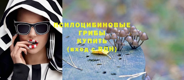 дживик Армянск
