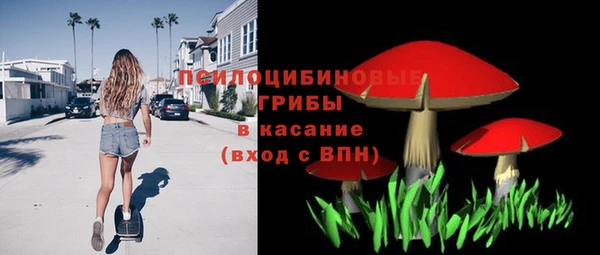 дживик Армянск